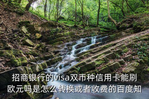 招行信用卡歐元手續(xù)費(fèi)怎么算，招行全幣種信用卡在歐洲刷卡有手續(xù)費(fèi)嗎