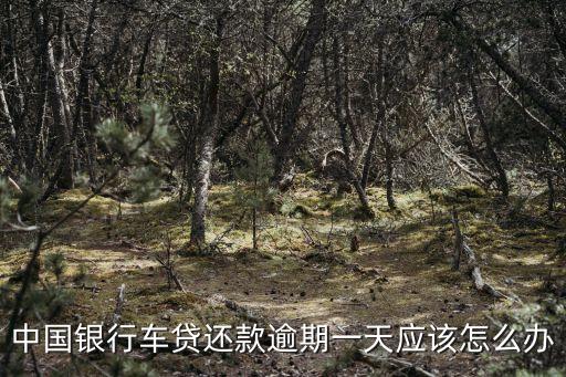 車貸逾期怎么消除，車貸款逾期記錄怎樣消除