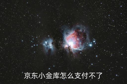 京東小金庫怎么付款，告訴我為何京東小金庫無法在商城支付
