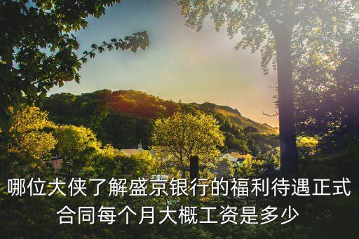 哪位大俠了解盛京銀行的福利待遇正式合同每個(gè)月大概工資是多少