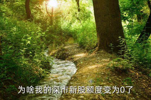 深新股額怎么變少了，為啥我的深市新股額度變?yōu)?了