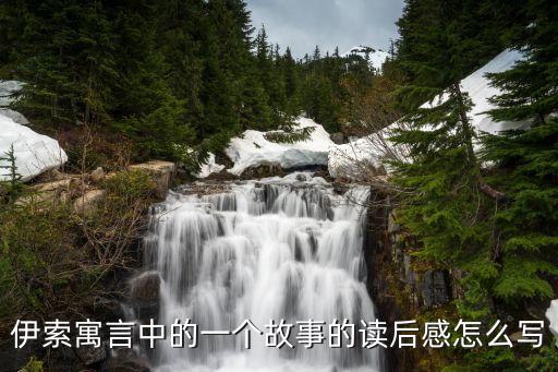 金斧子熱怎么樣，伊索寓言中的一個(gè)故事的讀后感怎么寫