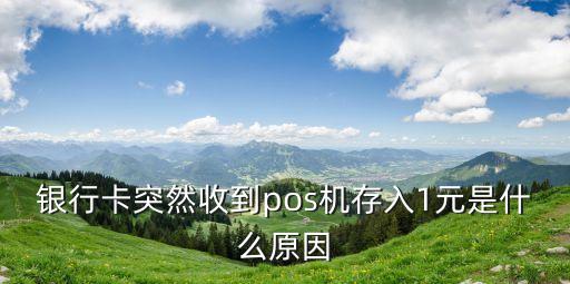 銀行卡突然收到pos機存入1元是什么原因