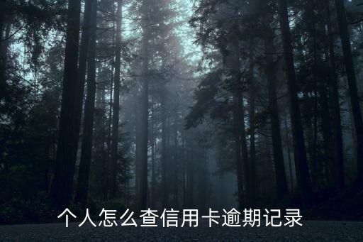 個人怎么查信用卡逾期記錄
