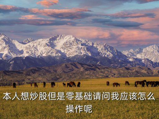 本人想炒股但是零基礎(chǔ)請(qǐng)問(wèn)我應(yīng)該怎么操作呢