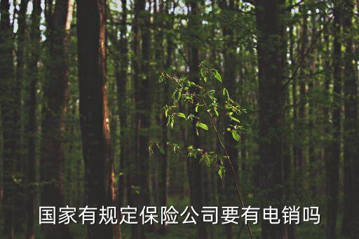 國(guó)家有規(guī)定保險(xiǎn)公司要有電銷嗎