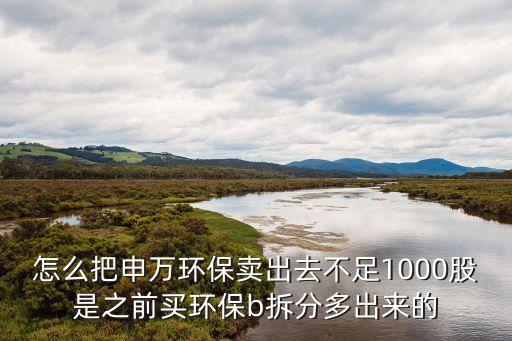 申萬環(huán)保怎么賣，申萬環(huán)保怎么賣