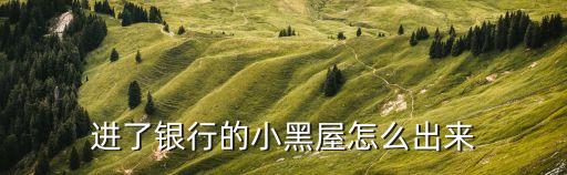 浦發(fā)進小黑屋后怎么辦，進了銀行的小黑屋怎么出來