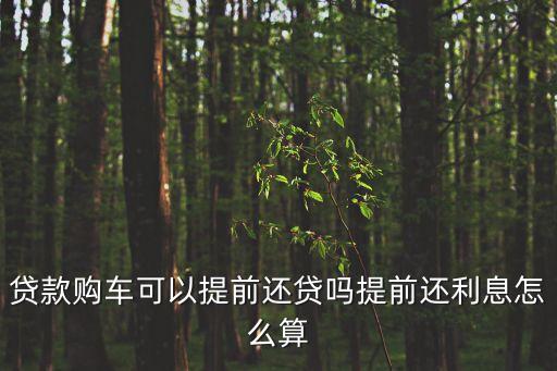貸款購車可以提前還貸嗎提前還利息怎么算