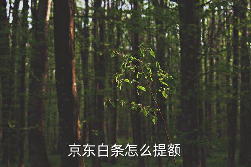 京東白條怎么提額
