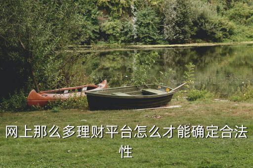 怎么樣才能使理財公司合法，如果客戶要我?guī)退俦P 如何讓這個事情合法 或者如果有很多個客戶