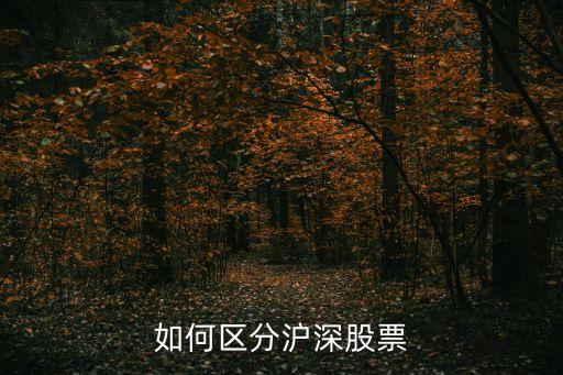 如何區(qū)分滬深股票