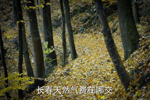 長春燃?xì)鈏c卡費怎么交，長春市燃?xì)赓M怎么交