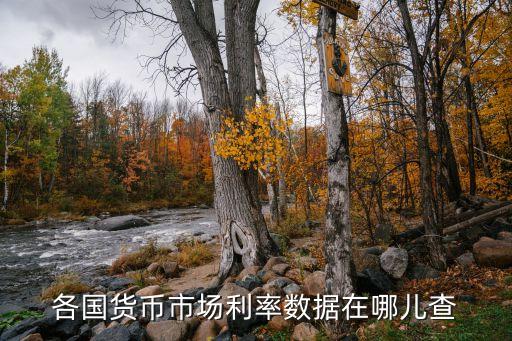 美國(guó)貸款利率怎么查，哪里能查到美國(guó)聯(lián)邦基準(zhǔn)利率歷史數(shù)據(jù)