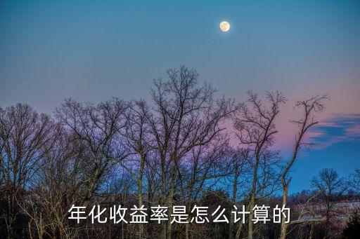 年化收益率是怎么計(jì)算的
