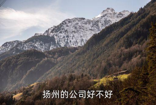 揚(yáng)州的公司好不好