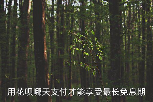 用花唄哪天支付才能享受最長(zhǎng)免息期