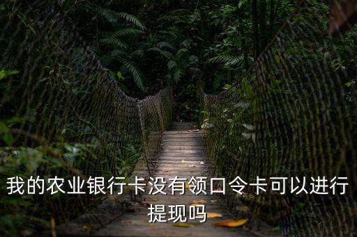 我的農(nóng)業(yè)銀行卡沒有領(lǐng)口令卡可以進行提現(xiàn)嗎