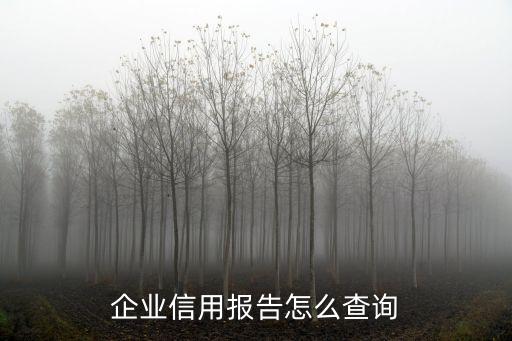 企業(yè)信用報告怎么查詢