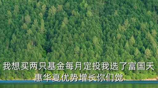 交銀制造519704怎么樣，想買個交行的基金定投玩玩哪個基金好