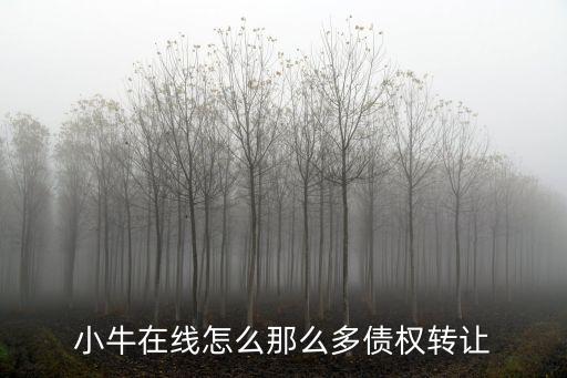 小牛在線怎么那么多債權(quán)轉(zhuǎn)讓