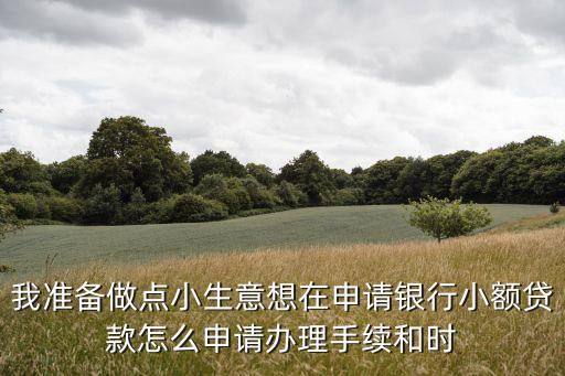 我準(zhǔn)備做點(diǎn)小生意想在申請銀行小額貸款怎么申請辦理手續(xù)和時