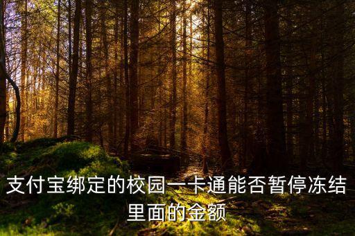支付寶綁定的校園一卡通能否暫停凍結(jié)里面的金額