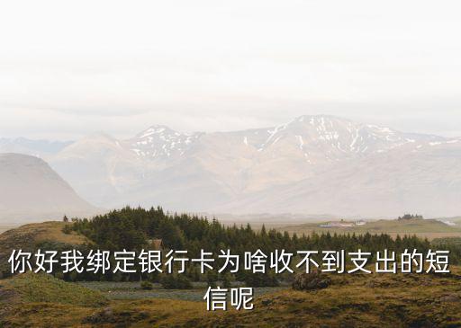 銀行卡花錢怎么沒短信，你好我綁定銀行卡為啥收不到支出的短信呢