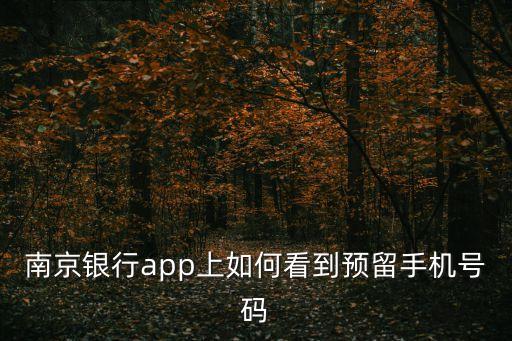 南京銀行app上如何看到預(yù)留手機(jī)號(hào)碼