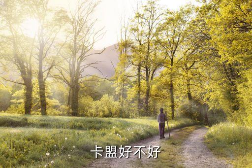 卡盟好不好