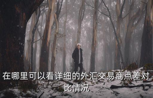 在哪里可以看詳細(xì)的外匯交易商點(diǎn)差對比情況
