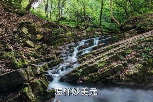 炒美元怎么炒，怎么炒外匯有沒有圖解說明