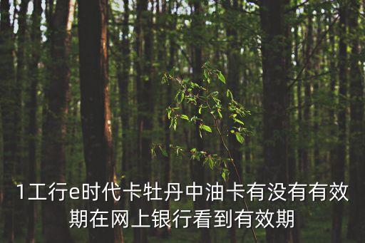1工行e時(shí)代卡牡丹中油卡有沒(méi)有有效期在網(wǎng)上銀行看到有效期