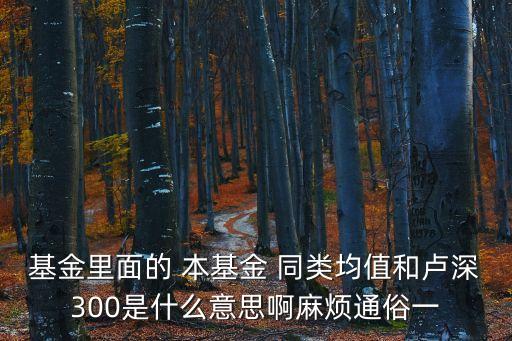 基金平均值怎么看，基金里面的 本基金 同類均值和盧深300是什么意思啊麻煩通俗一