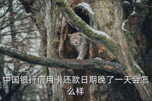 信用卡逾期1天會怎么樣，信用卡的問題的還款日期了我晚還一天會怎么樣啊