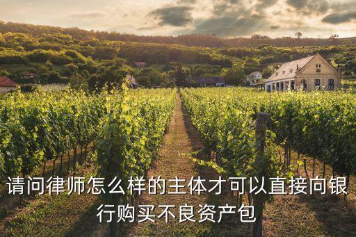 請問律師怎么樣的主體才可以直接向銀行購買不良資產(chǎn)包
