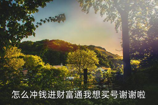 怎么沖錢進(jìn)財(cái)富通我想買號(hào)謝謝啦