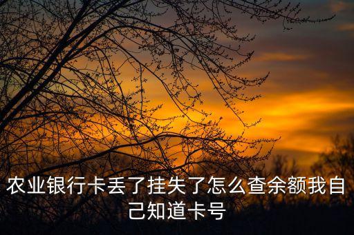 農(nóng)業(yè)銀行卡丟了掛失了怎么查余額我自己知道卡號