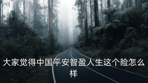 大家覺(jué)得中國(guó)平安智盈人生這個(gè)險(xiǎn)怎么樣