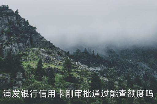 浦發(fā)銀行信用卡剛審批通過能查額度嗎