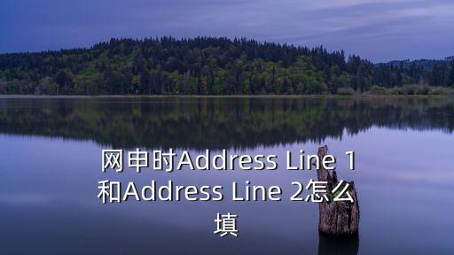 網申時Address Line 1和Address Line 2怎么填