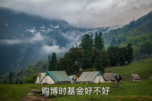 博時(shí)弘盈基金怎么樣，博時(shí)基金好嗎