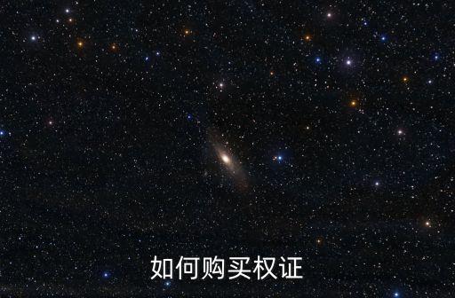 如何購買權(quán)證
