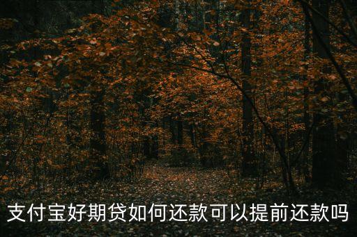 支付寶好期貸如何還款可以提前還款嗎