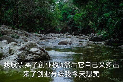 我股票買了創(chuàng)業(yè)板b然后它自己又多出來了創(chuàng)業(yè)分級我今天想賣