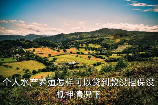 搞水產養(yǎng)殖怎么貸款，個人水產養(yǎng)殖怎樣可以貸到款沒擔保沒抵押情況下