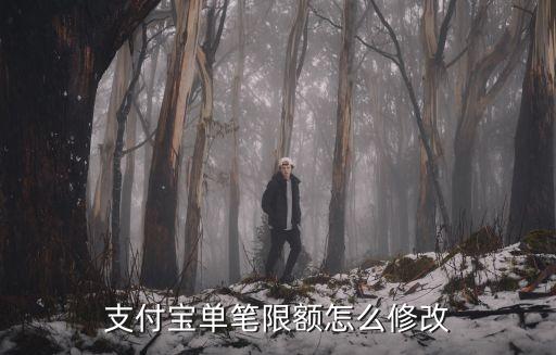 支付寶單筆限額怎么修改