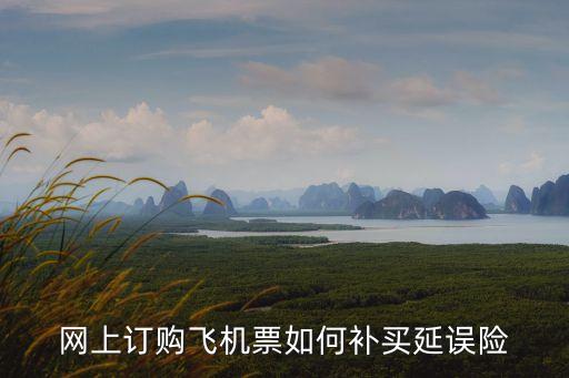 網(wǎng)上訂購飛機(jī)票如何補(bǔ)買延誤險
