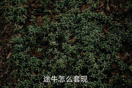 途牛怎么套現(xiàn)方法，途牛怎么套現(xiàn)
