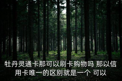 牡丹靈通卡那可以刷卡購物嗎 那以信用卡唯一的區(qū)別就是一個 可以